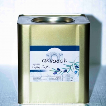 Image-2